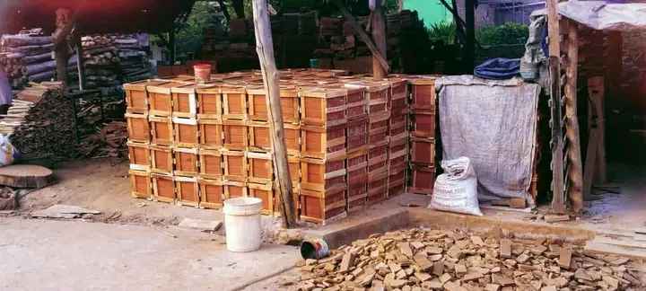 Loster Kayu